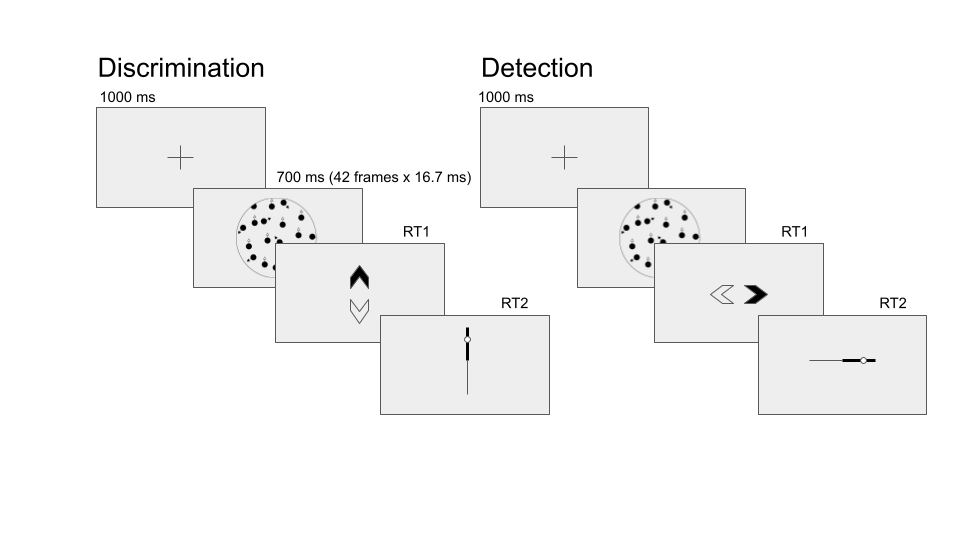 Task design for Experiment 1. In both discrimination and detection blocks, participants viewed 700 milliseconds of a random dot motion array, after which they made a keyboard response to indicate their decision (motion direction in discrimination, signal absence or presence in detection), followed by a continuous confidence report using the mouse. 5 participants viewed vertically moving dots and indicated their detection responses on a horizontal scale, and 5 participants viewed horizontally moving dots and indicated their detection responses on a vertical scale.