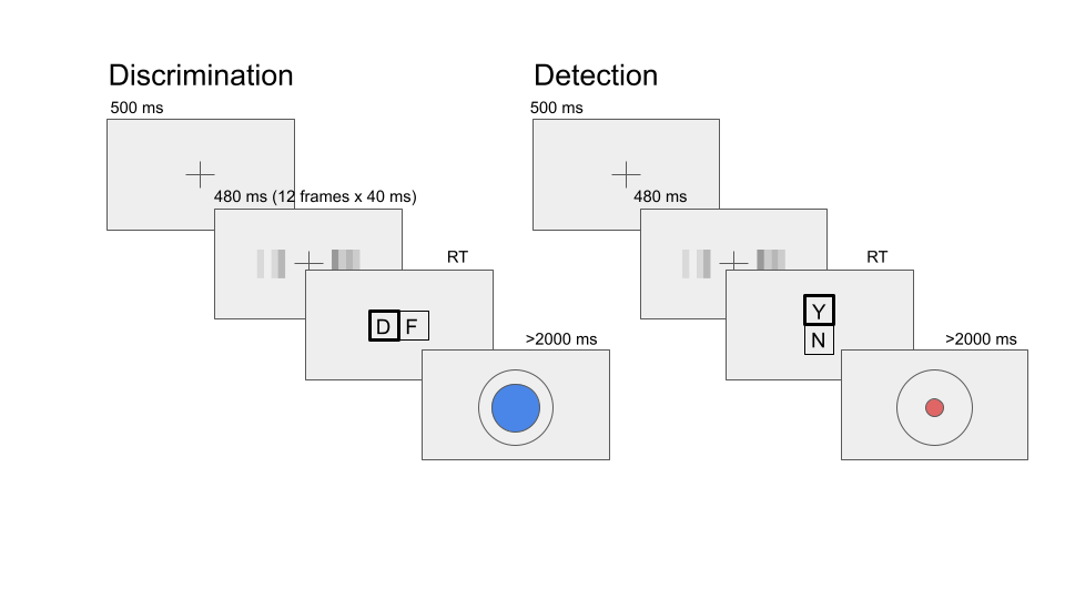 Task design for Experiment 2. In both tasks, participants viewed 480 milliseconds of two flicketing patches, after which they made a keyboard response to indicate which of the patches was brighter (discrimination) or whether any of the patches was brighter than the background (detection).