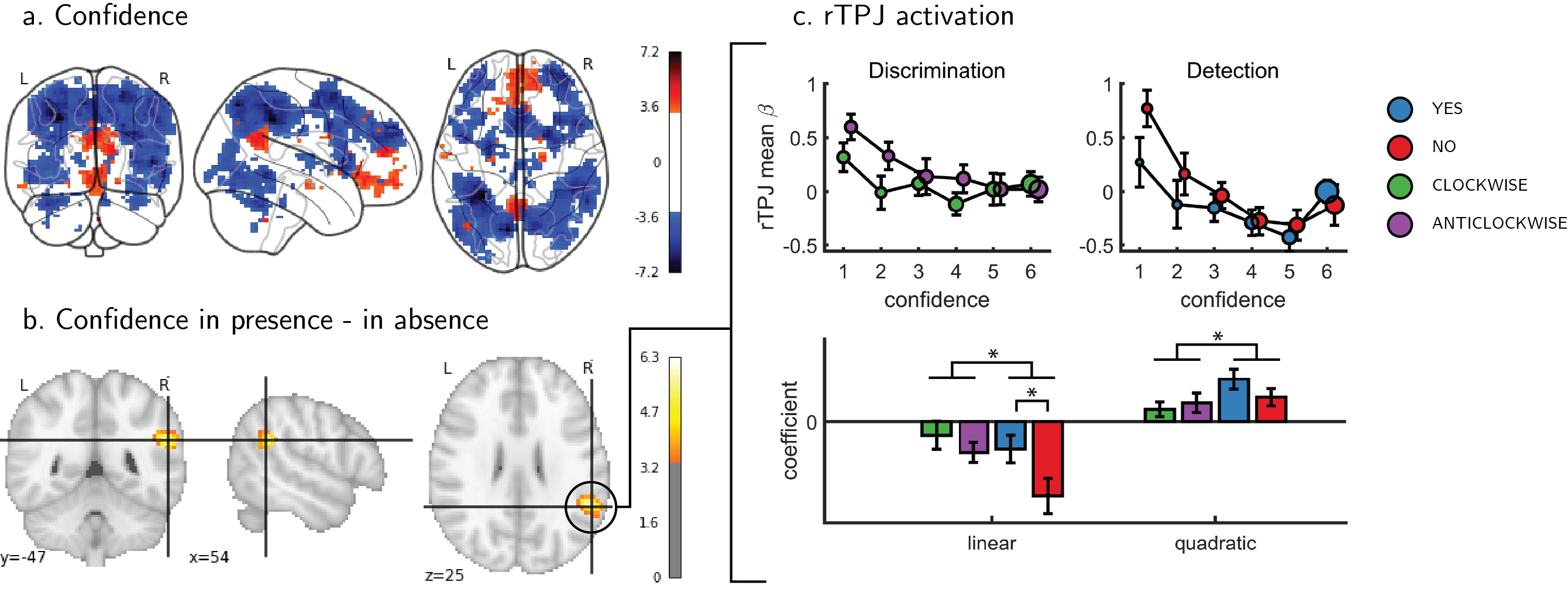 Univariate parametric effect of confidence. a) Glass brain visualization of global effect of confidence, thresholded at the single voxel level for visualization (p<0.001, uncorrected). Negative confidence effects appears in blue, and positive effects in red. b) Whole brain contrast between confidence in ‘yes’ (target-present) and ‘no’ (target-absent) detection responses, corrected for family-wise error rate at the cluster level (p<0.05) with a cluster defining threshold of p<0.001, uncorrected. c. upper panel: BOLD signal in the rTPJ cluster from panel b as a function of response and confidence. lower panel: mean coefficients of response- and subject-specific multiple linear regression models, predicting rTPJ activation as a linear and quadratic function of confidence.  * - p<0.05; uncorrected for multiple comparisons across the four tests.