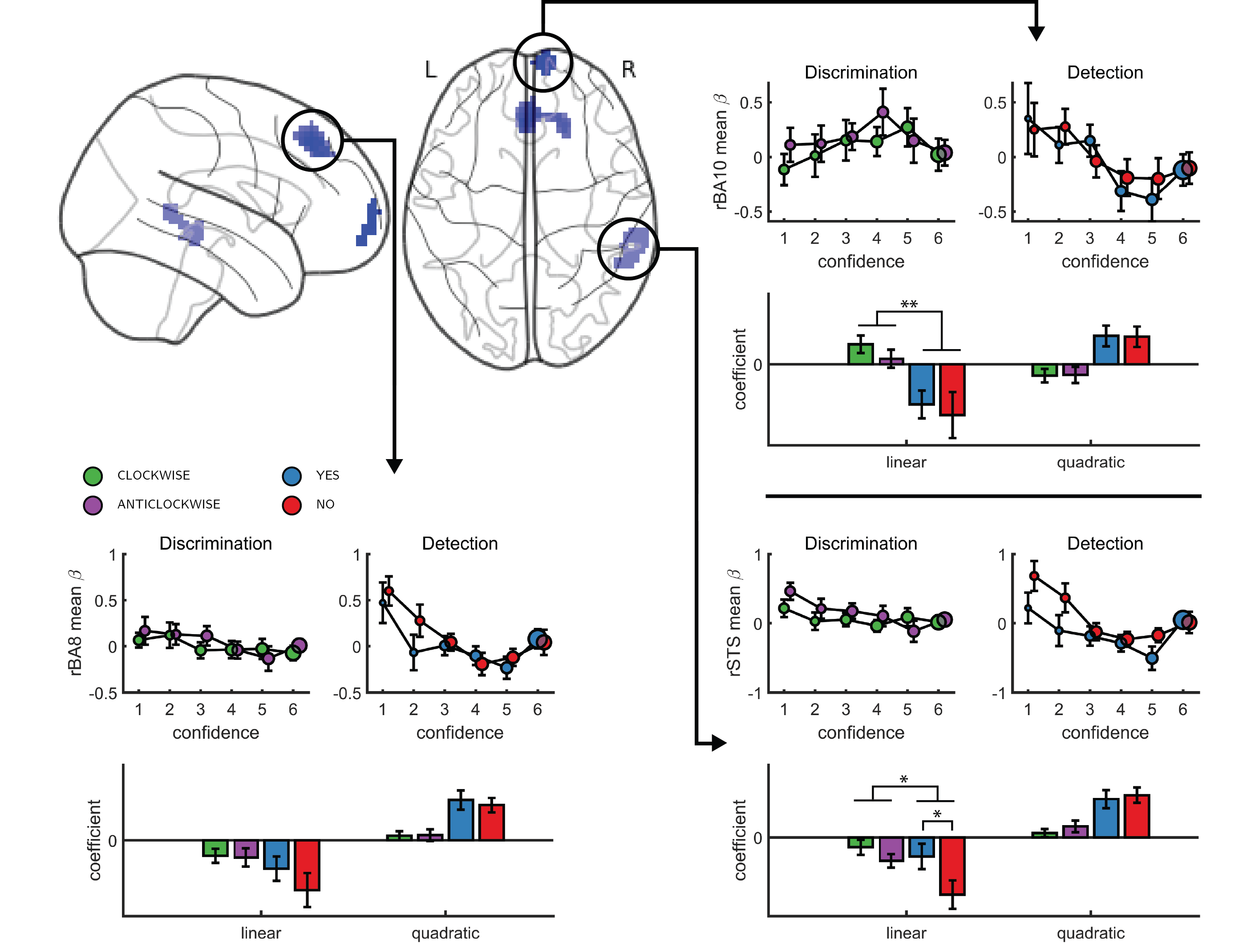 Left, top panel: a glass-brain representation of a contrast between the quadratic effects of confidence in detection and in discrimination, whole-brain corrected for family-wise error rate at the cluster-level (p<.05)  with a cluster-defining threshold of p<.001, uncorrected). Remaining panels: mean betas from the categorical model for each of the four responses and six confidence ratings, for the three indicated clusters. The second-order polynomial coefficients for these estimates are presented below each plot. Significance is only indicated for the linear effects, which are orthogonal to the quadratic contrast used to select the clusters. * - p<0.05; ** - p<0.01