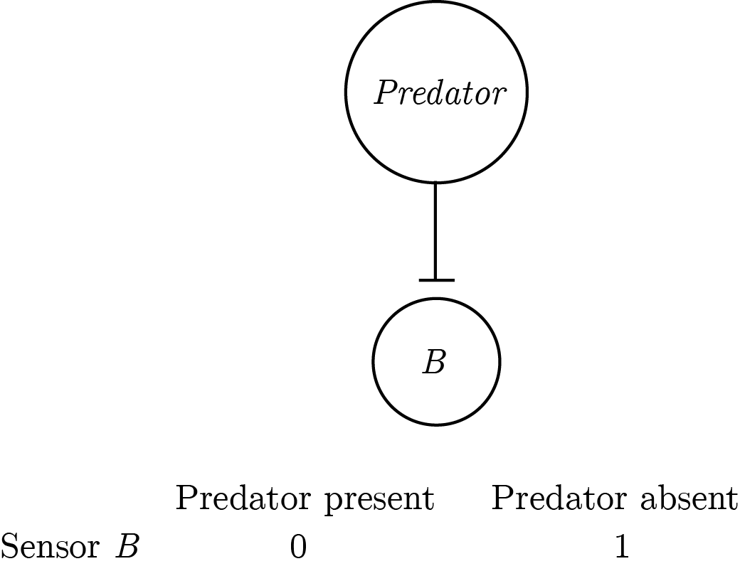 An asymmetric implementation of a predator-detector with a pessimistic prior.
