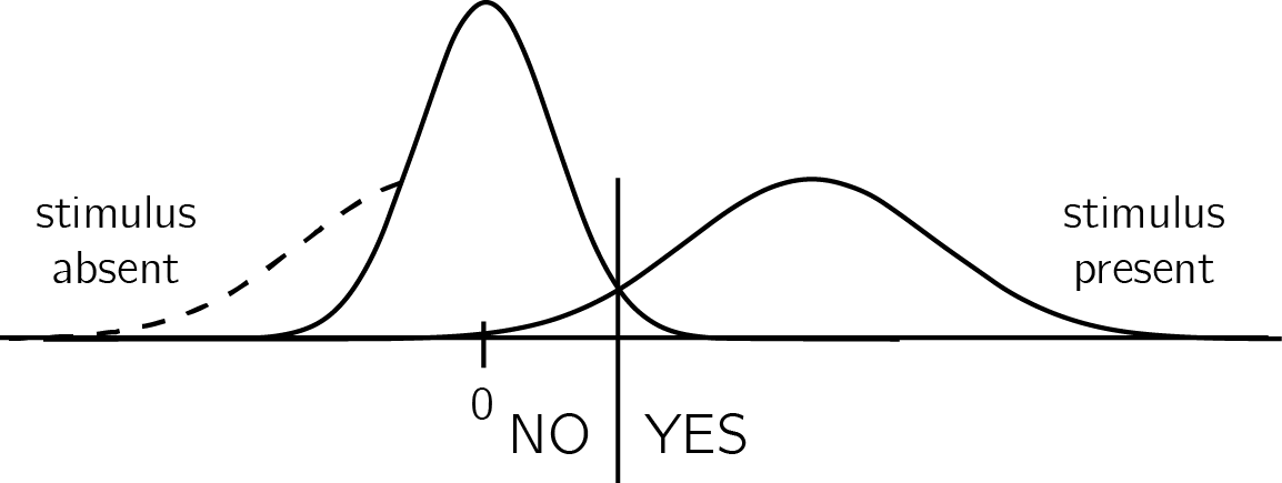 In unequal-variance SDT models, decisions are made based on the relative position of the sensory sample to a decision  criterion. The presense/absence asymmetry manifests in the fact that only in some 'target-present' trials, but not in 'target-absent' trials, the sensory sample falls far away from the decision criterion. The dashed line represents the missing tail of the noise distribution: without it, definite evidence is sometimes available for presence, but never for absence.